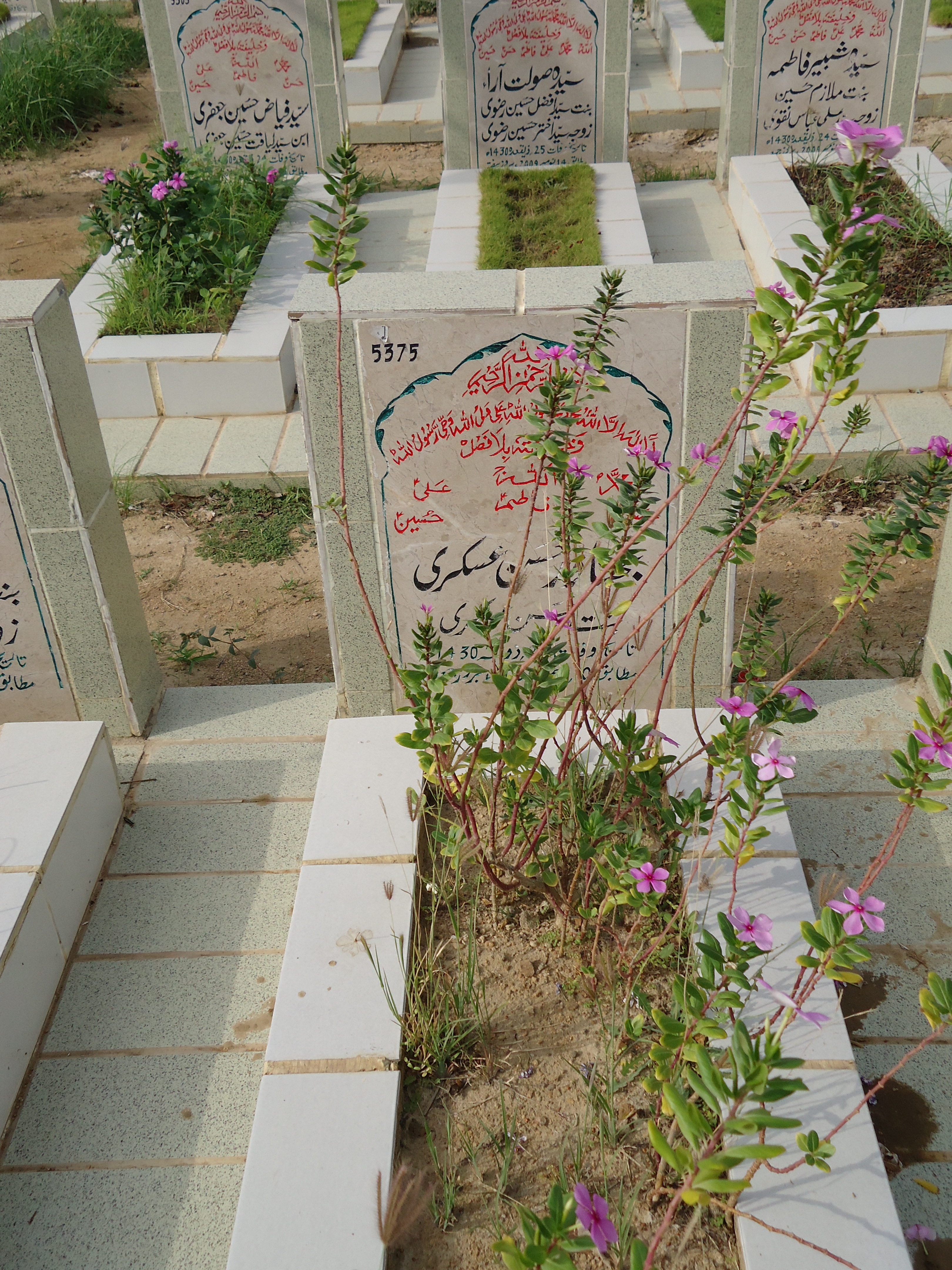 5375 – Bakhtawar Hasan Askari